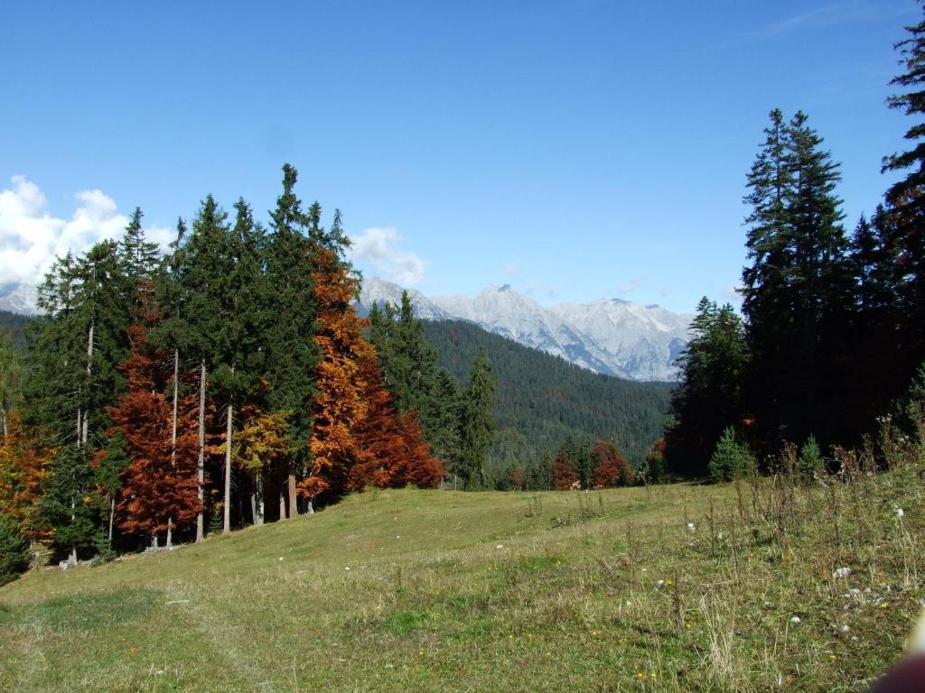 Hotel Menthof Seefeld in Tirol Room photo