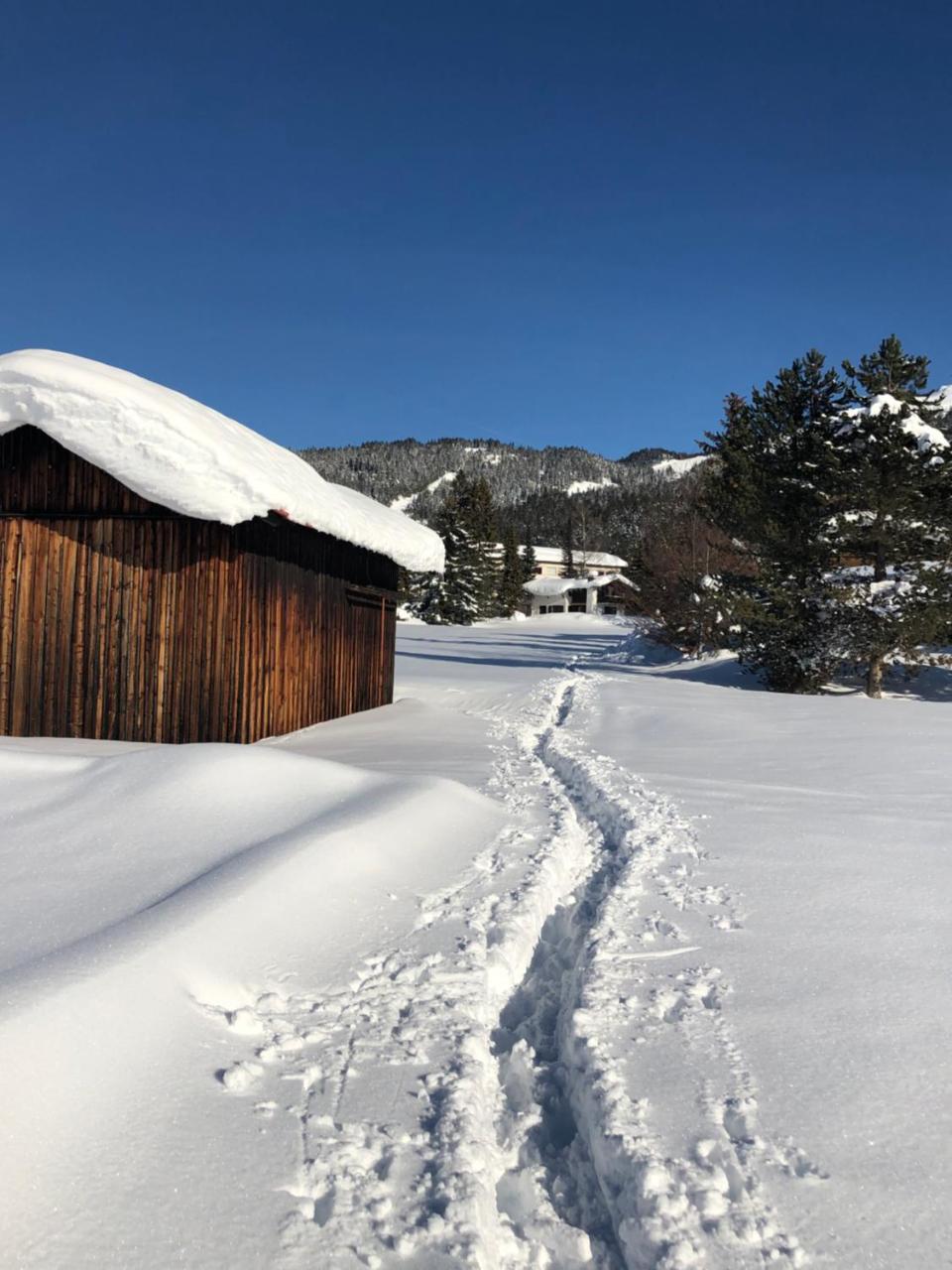 Hotel Menthof Seefeld in Tirol Exterior photo